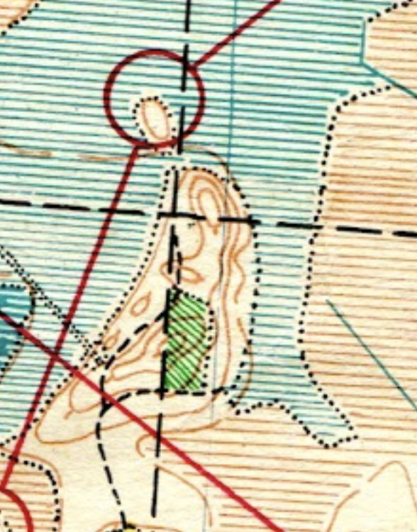 Pasted Graphic 1.png