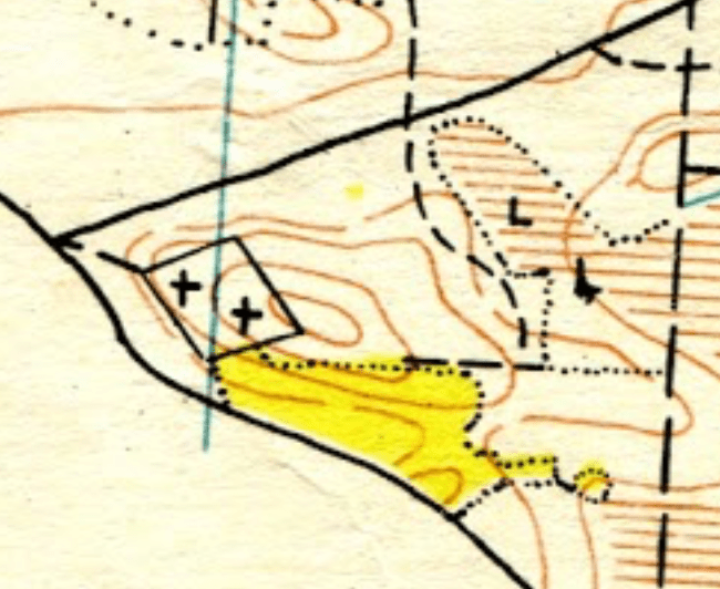 Pasted Graphic 2.png